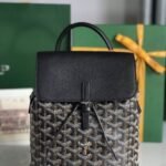 GOYARD Master#152
