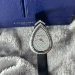 Chaumet Watch #25